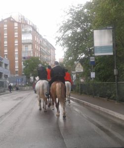 La Parata dei Turchi a Potenza