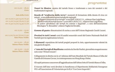 11 Novembre a Matera – “Tesori della terra”, il tartufo lucano in mostra